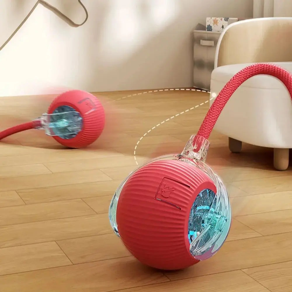 Yopoll interactive pet toy ball