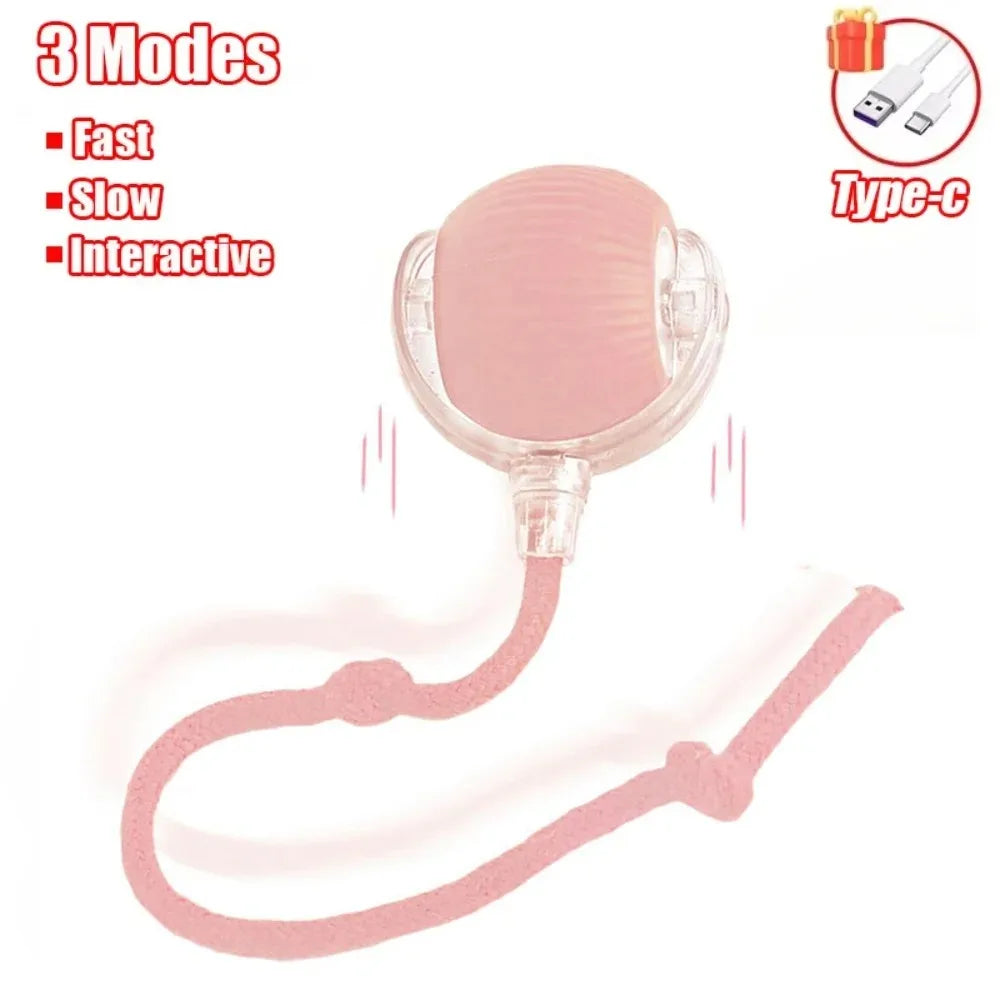 Yopoll interactive pet toy ball