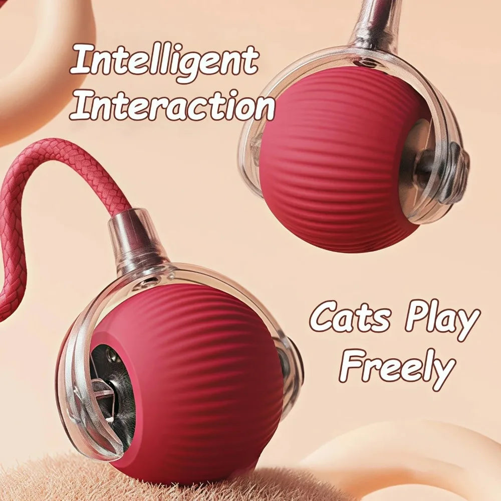 Yopoll interactive pet toy ball