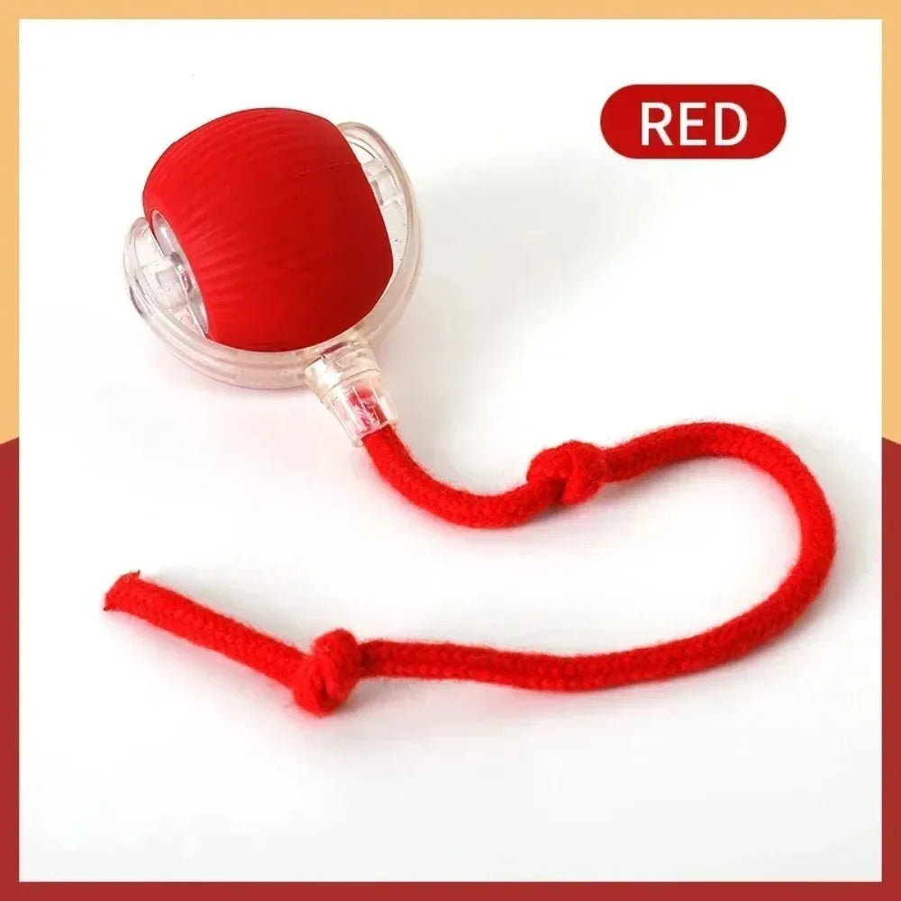 Yopoll interactive pet toy ball