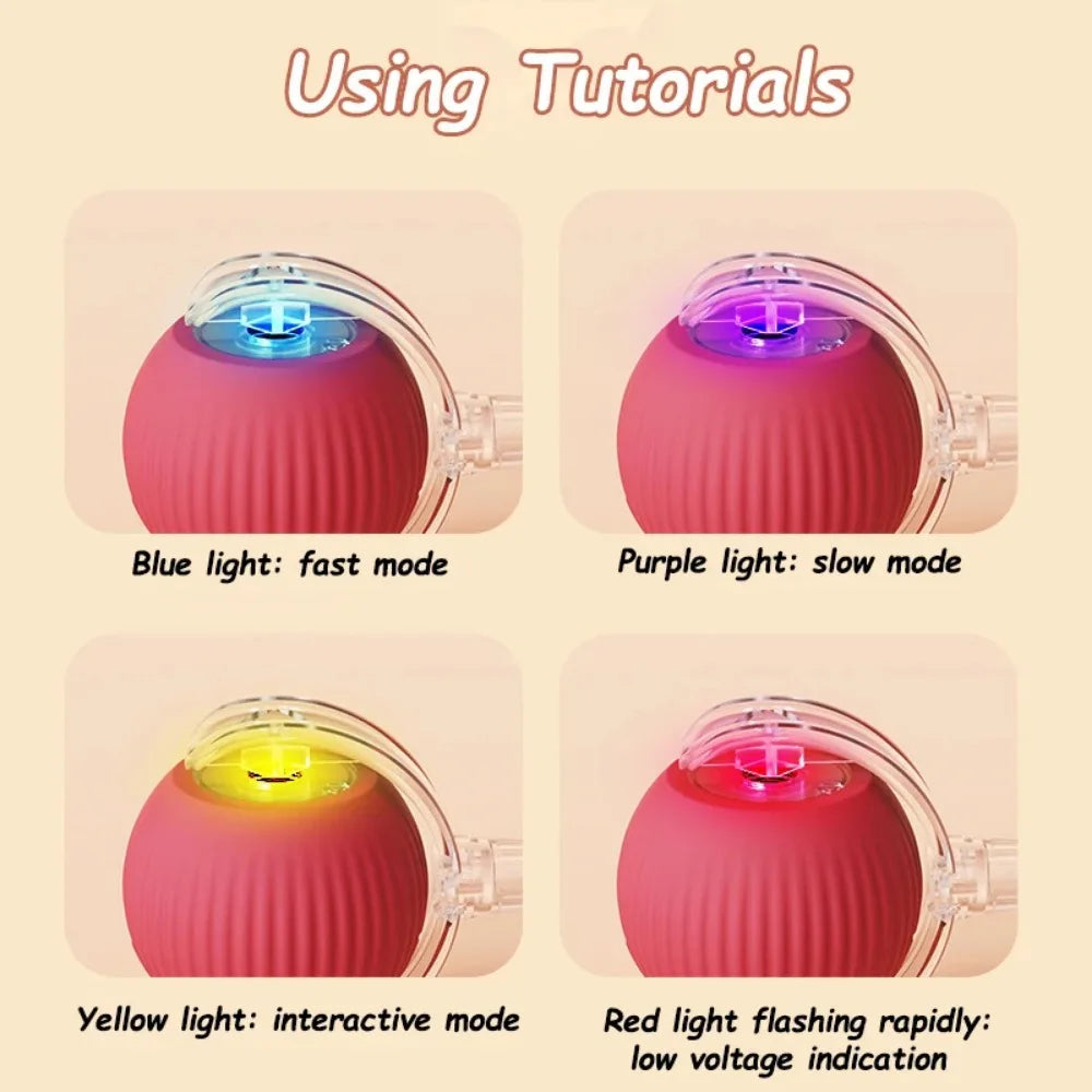 Yopoll interactive pet toy ball