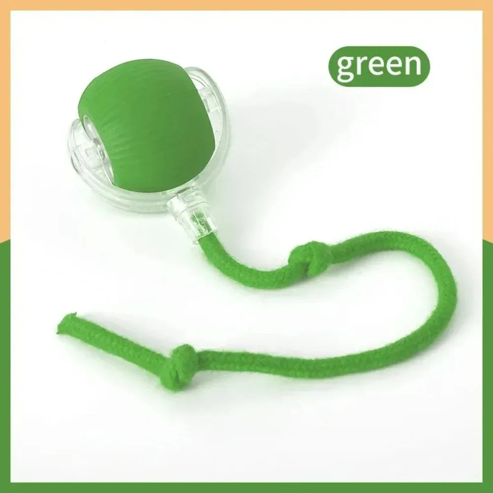 Yopoll interactive pet toy ball