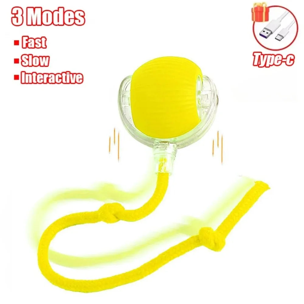 Yopoll interactive pet toy ball