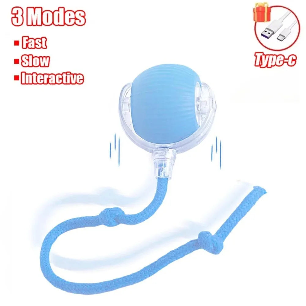 Yopoll interactive pet toy ball