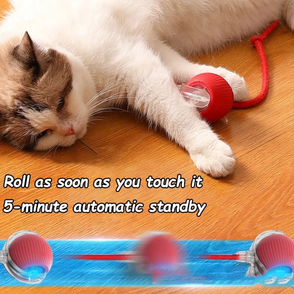 Yopoll interactive pet toy ball