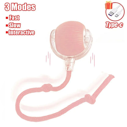 Yopoll interactive pet toy ball