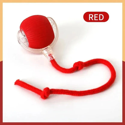Yopoll interactive pet toy ball